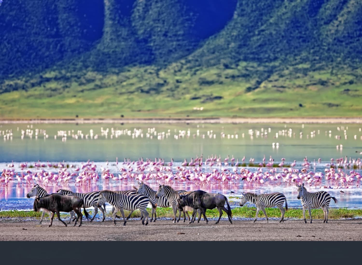 Ngorongoro & Serengeti Circuit